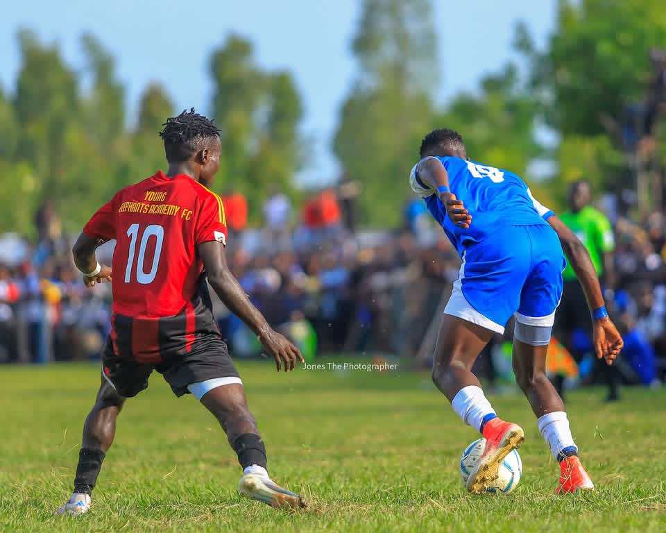 Moment of Equilibrium at Elephants Park as Young Elephants and Nebbi Central Share Spoils 